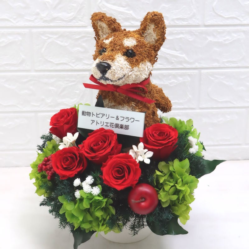 柴犬グッズ