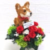 開店花 犬