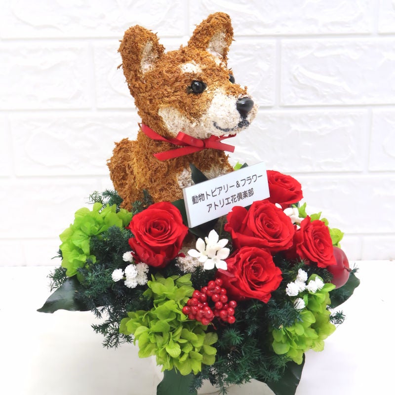 開店花 犬