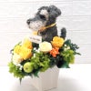ペットサロン開店祝い