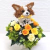 チワワ プリザーブドフラワー