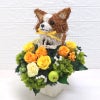 開店祝い 犬