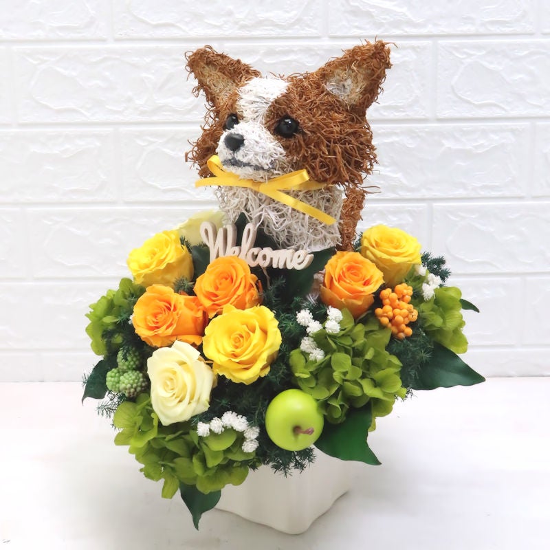 開店祝い 犬
