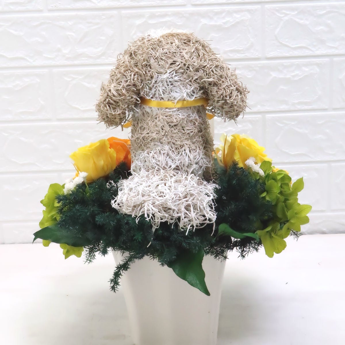 犬花